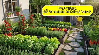 પૈસા ખર્ચ્યા વગર ઘરે જ આ 5 DIY ખાતર બનાવો, તમારા બગીચો હંમેશા લીલોછમ અને હરિયાળો રહેશે