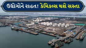 મોંઘવારી ઘટાડવા સરકાર સક્રિય: પેટ્રોકેમિકલ્સ પર કસ્ટમ ડ્યુટી રદ