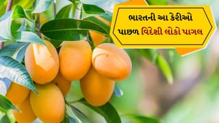 ઉનાળાની મીઠાશ ! ભારતની આ 10 કેરીઓ ઈન્ટરનેશનલ સ્ટાર છે, દર વર્ષે તેમની ખૂબ માગ હોય છે