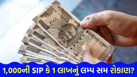 ₹1,000 ની SIP કે ₹1 લાખનું લમ્પ સમ? તગડું રિટર્ન ક્યાંથી મળશે?