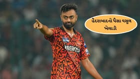 Breaking News : સનરાઈઝર્સ હૈદરાબાદનો પૈસા વસુલ ખેલાડી કોણ છે, જાણો