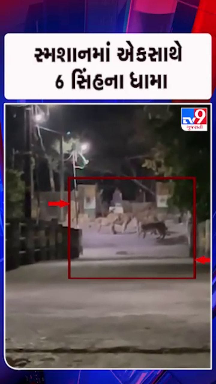 પાછલા દરવાજેથી એકાએક સિંહ આવી ચઢ્યા