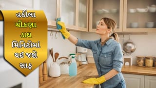 Kitchen Hacks: ચીમનીથી ટાઇલ્સ સુધી… રસોડામાં થયેલા હઠીલા ચીકણા ડાઘ મિનિટોમાં થઈ જશે સાફ