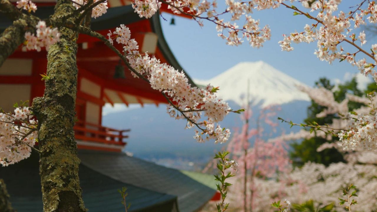 જાપાનની વસ્તી સતત ઘટી રહી છે. 2025 માં જન્મેલા બાળકોની સંખ્યા લગભગ 700,000 હતી, જે દાયકાઓમાં સૌથી ઓછી છે. આ સતત ઘટાડો સરકાર માટે એક મોટી ચિંતા બની ગયો છે. તેથી, યુવાનોને લગ્ન અને પરિવાર તરફ આકર્ષવા માટે નવી પહેલ હાથ ધરવામાં આવી રહી છે.
