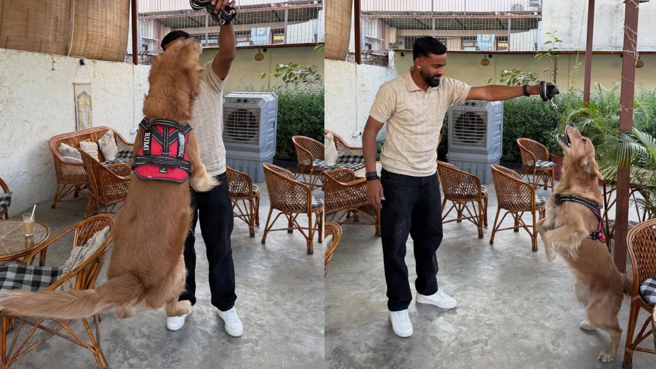 કુલવંત ખેજરોલિયાનો જન્મ 13 માર્ચ 1992ના રોજ રાજસ્થાનના ઝુંઝુનુમાં થયો છે. તે એક ભારતીય ક્રિકેટર છે. તેમણે 26  ફેબ્રુઆરી 2017ના રોજ 2016-17 વિજય હજારે ટ્રોફીમાં દિલ્હી માટે લિસ્ટ એ ડેબ્યૂ કર્યું હતું.