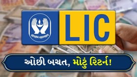 LICની આ પોલિસી બની છે હિટ, 20 લાખ રૂપિયાનું ભંડોળ બનાવો