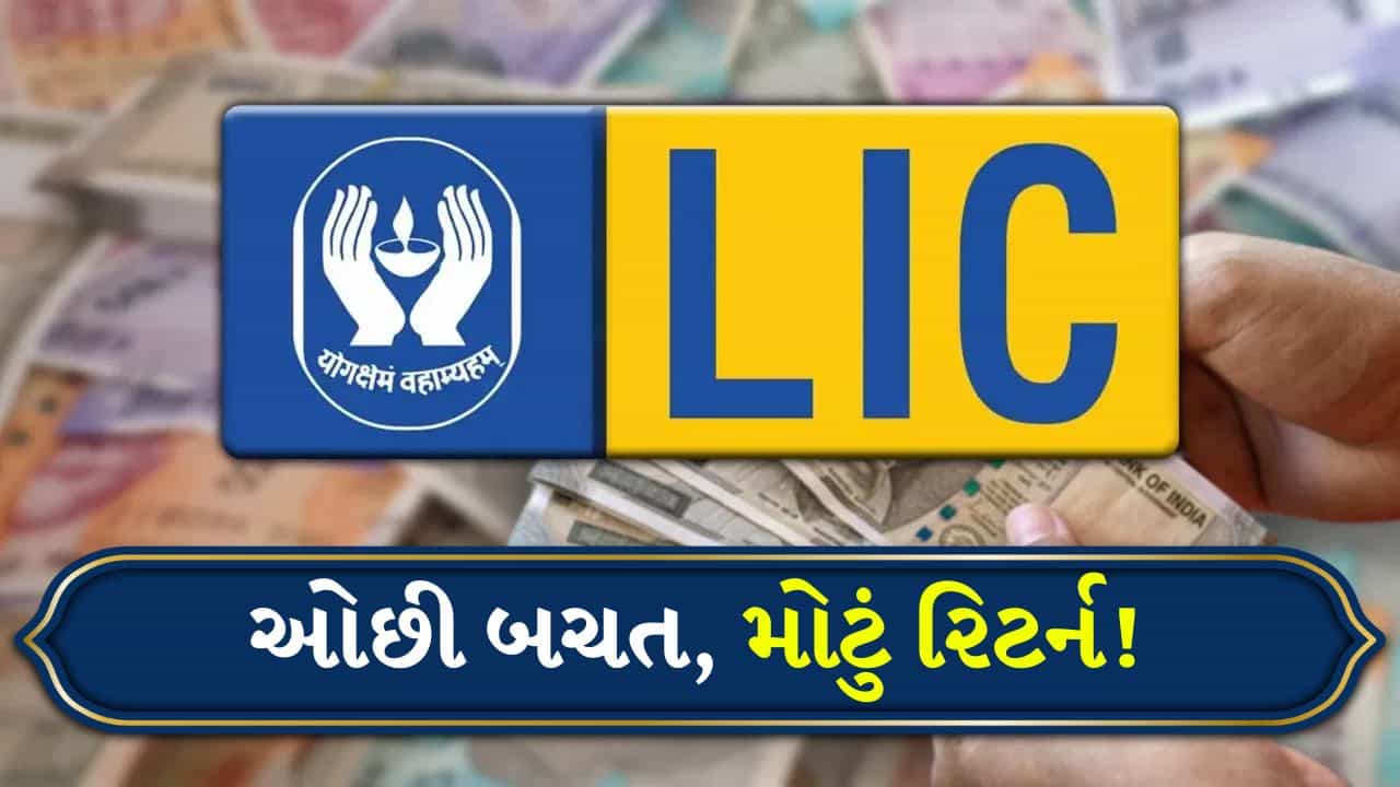 LIC ની શાનદાર પોલિસી : દરરોજ 166 રૂપિયા જમા કરો અને 20 લાખ રૂપિયા મેળવો