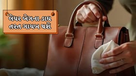 Leather Bag પર ઈન્ક અને તેલના થઈ ડાઘ થઈ ગયા છે?