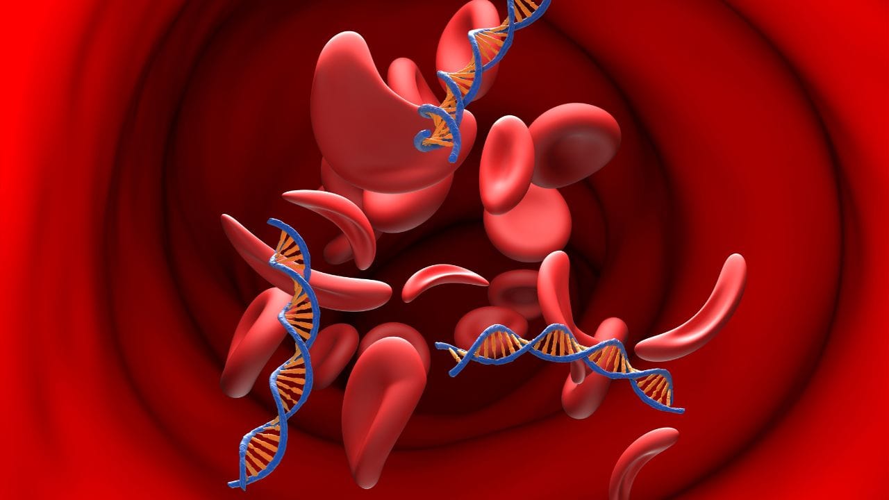 ડીએનએ રિપોર્ટમાં એ સામે આવ્યું કે, તે વ્યક્તિ બાળકનો જૈવિક પિતા નથી. આના આધાર પર ટ્રાયલ કોર્ટે બાળકોને મેન્ટેન્સ આપવાની ના પાડી હતી. આ નિર્ણયને ઉચ્ચ અદાલતોએ પણ માન્ય રાખ્યો હતો.