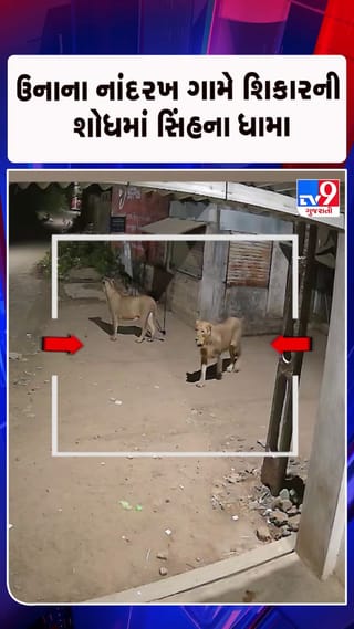 વહેલી સવારે 4 સિંહ ઘૂસ્યા ગામની સીમમાં
