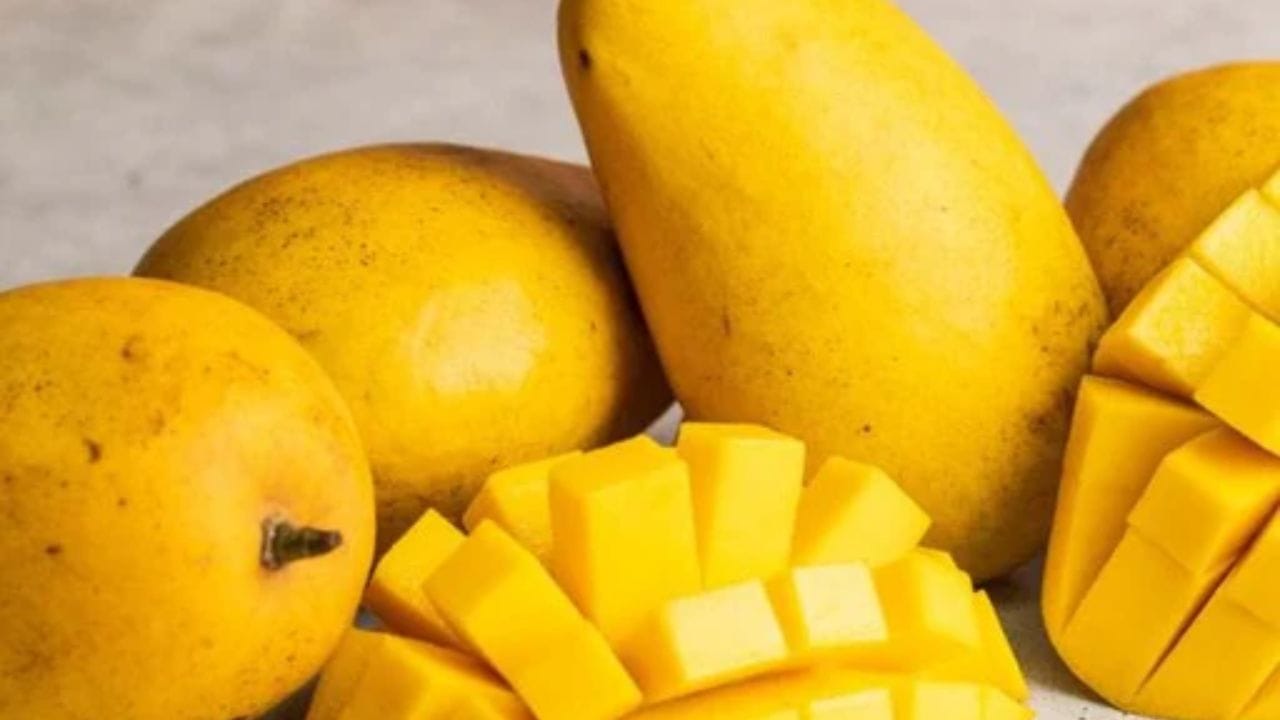 બંગનાપલ્લી કેરી, જેને સફેદા તરીકે પણ ઓળખવામાં આવે છે, તે આંધ્રપ્રદેશની એક લોકપ્રિય કેરી છે. તેનું મોટું કદ અને રેસા વગરનો પલ્પ લાક્ષણિકતા ધરાવે છે. તે મીઠી અને હળવી સુગંધિત છે, જે તેને વિદેશી બજારોમાં લોકપ્રિય પસંદગી બનાવે છે.
