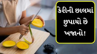 Mango Peel Reuse: કચરો નહીં, કામની વસ્તુ! જાણો કેરીની છાલના 5 ફાયદા