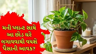Vastu Tips: મની પ્લાન્ટ સાથે લગાવો આ છોડ, ઘરની તીજોરી રુપિયાથી ઊભરાશે