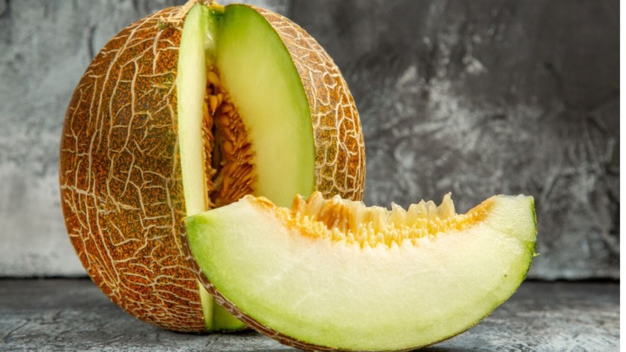 શક્કરટેટી પોષણ માટે સારી હોઈ શકે છે. બંને ફળો ડિહાઇડ્રેશનથી બચાવે છે. તરબૂચ વધુ રસદાર ફળ છે. બંને ફળો આરોગ્ય માટે ફાયદાકારક સાબિત છે.