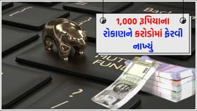 આ સ્કીમે 1,000 રૂપિયા રોકનારાઓને બનાવ્યા 'કરોડપતિ'