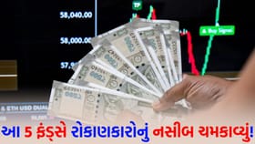 HDFC ના આ 5 મ્યુચ્યુઅલ ફંડ્સે મચાવી 'ધૂમ', રોકાણકારો થયા માલામાલ