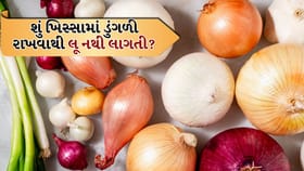 શું ખિસ્સામાં ડુંગળી રાખવાથી લૂથી બચી શકાય? જાણો વૈજ્ઞાનિક સત્ય