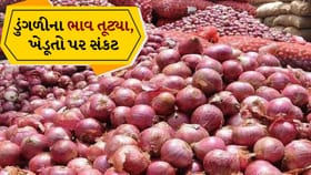 ‘લાલ સોનું’ બની ગયું સસ્તુ! ડુંગળીના ભાવ તૂટ્યા, ખેડૂતો પર સંકટ