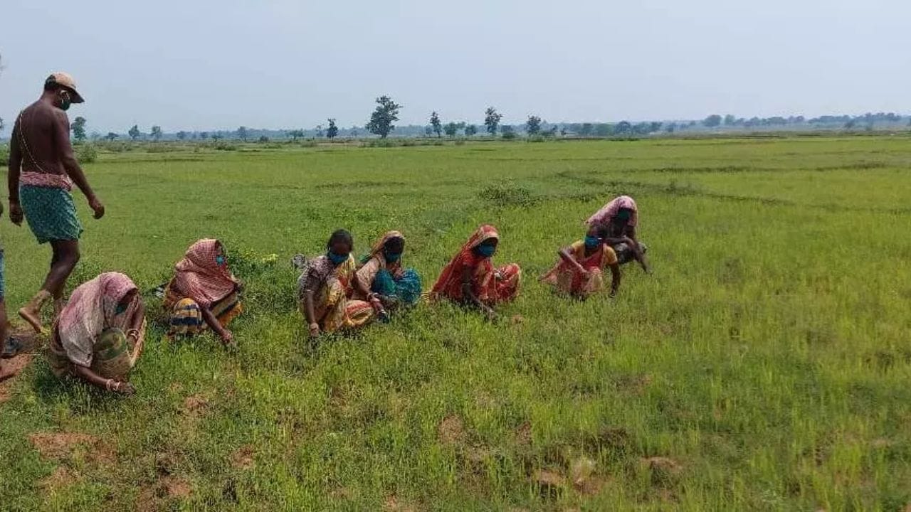 જો તમને કોઈ સમસ્યા હોય તો ફરિયાદ ક્યાં કરવી?: જો કોઈ ખેડૂતને તેમના હપ્તા સંબંધિત કોઈ સમસ્યાનો સામનો કરવો પડે, તો તેઓ હેલ્પલાઈન નંબર 155261 અથવા 1800115526 પર સંપર્ક કરી શકે છે. તેઓ pmkisan-ict@gov.in પર ઇમેઇલ કરીને અથવા 011-23381092 પર કૉલ કરીને પણ મદદ મેળવી શકે છે.
