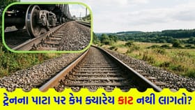 લોખંડ નહીં પણ આ ખાસ ધાતુથી બને છે 'ટ્રેનના પાટા'