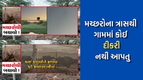 રાજકોટના વેજા ગામમાં મચ્છરોના ત્રાસથી યુવાનોના લગ્ન નથી થઈ રહ્યા-Video