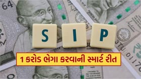 1 કરોડ રૂપિયા ભેગા કરવા છે ? SIP વડે રોકાણ કરી બનશે મોટું ફંડ