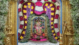 સાળંગપુરમાં 151 કિલોની કેક કાપીને દાદાનો જન્મોત્સવ ધામધૂમથી ઉજવાશે