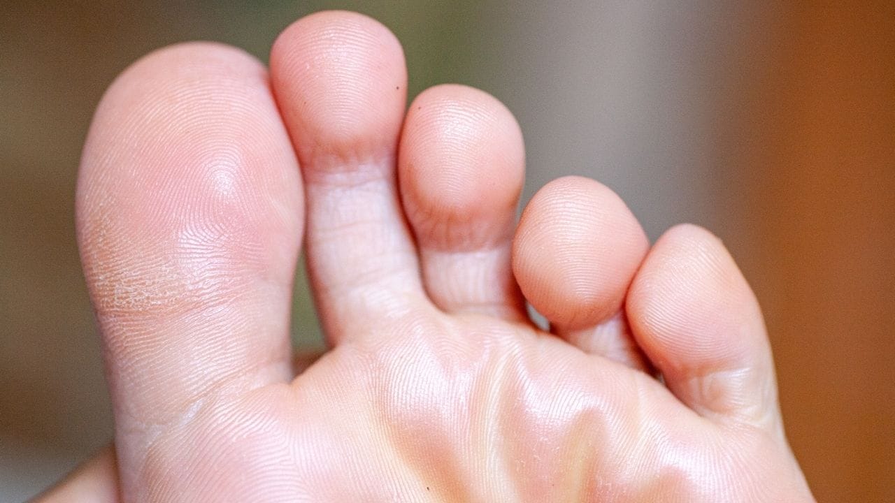 ગોળ અને ભરાવદાર અંગૂઠો આરામદાયક અને સુખી જીવન તરફ સંકેત આપે છે. જ્યારે સપાટ અથવા થોડો વાંકિયો અંગૂઠો મહેનતભર્યું જીવન અને સંઘર્ષ દર્શાવે છે. સાથે સાથે, તે વ્યક્તિની ધીરજ અને સતત પ્રયત્ન કરવાની ક્ષમતાને પણ દર્શાવે છે.(નોંધ : અહીં આપવામાં આવેલી માહિતી માન્યતાઓના આધારે ફક્ત આપની જાણકારી માટે છે.)