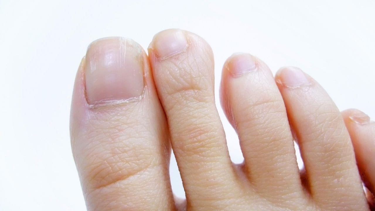 જો અંગૂઠો અને પહેલી આંગળી એકબીજાની ખૂબ નજીક હોય, તો તે સંતુલિત અને સમજદાર સ્વભાવનું ચિહ્ન માનવામાં આવે છે. આવી વ્યક્તિઓ સંબંધોને ખૂબ મહત્વ આપે છે અને ઝઘડા ટાળવાનો પ્રયત્ન કરે છે. પરિવાર અને સંબંધોમાં શાંતિ જાળવવી તેમની પ્રથમ પ્રાથમિકતા હોય છે.