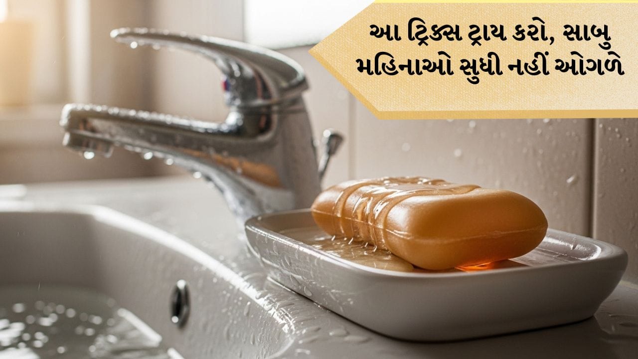 How to Make Soap Last Longer: શું તમે ક્યારેય વિચાર્યું છે કે તમારો સાબુ આટલો જલ્દી કેમ ખતમ થઈ જાય છે? ઘણીવાર આપણે મોંઘો સાબુ ખરીદીએ છીએ, પણ થોડા દિવસોમાં જ તે અડધો થઈ જાય છે. આ ફક્ત સાબુની ગુણવત્તાને કારણે જ નહીં, પણ તેનો ઉપયોગ કરવાની રીતને કારણે પણ હોઈ શકે છે. 
