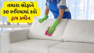 Tips And Tricks: તમારા સોફાને 20 રુપિયામાં કરો ડ્રાય ક્લીન, વેક્યુમ ક્લીનર વિના મિનિટોમાં ચમકશે