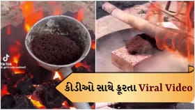 લાખો કીડીઓને જીવતી સળગાવતો Viral Video જોઈ લોકો ભડક્યા