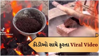 લાખો કીડીઓને જીવતી સળગાવતો Viral Video જોઈ લોકો ભડક્યા, ક્રૂરતા સામે ઉઠ્યો રોષ, જુઓ Video