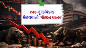ભારે ઘટાડા વચ્ચે કંપનીએ જાહેર કર્યું ₹48 નું 'ડિવિડન્ડ'