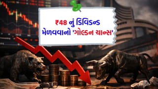 એક શેર પર ₹48 કમાવવાનો મોકો… 30% ના ઘટાડા બાદ આ સ્ટોકે આપી મોટી ભેટ, શું તમે આ તક ઝડપી લેશો?