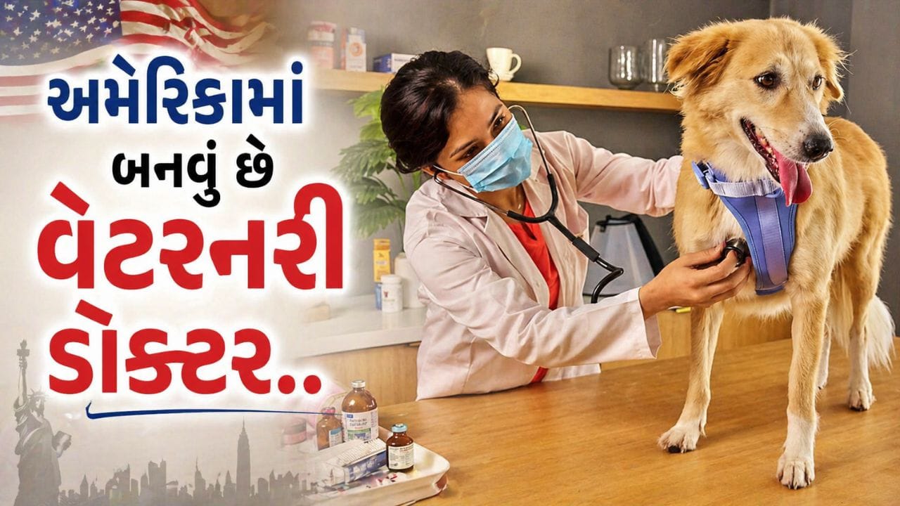 Study Veterinary Medicine in US: અમેરિકામાં વેટરનરી ડોક્ટર બનવું યોગ્ય માર્ગદર્શન અને તૈયારી સાથે તે શક્ય બને છે. આરોગ્યસંભાળ ક્ષેત્રમાં પશુચિકિત્સા સેવાઓની માંગ સતત વધી રહી છે, જેના કારણે આ ક્ષેત્રમાં કારકિર્દી બનાવવાની ઉત્તમ તકો ઉપલબ્ધ છે. જો ભારતીય વિદ્યાર્થીઓ અમેરિકામાં આ ક્ષેત્રમાં આગળ વધવા માંગે છે, તો તેઓ માટે સ્પષ્ટ શૈક્ષણિક માર્ગ ઉપલબ્ધ છે.