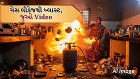 સુરતના પલસાણામાં ગેસ લીકેજથી બ્લાસ્ટ, 6 લોકો ઘાયલ, જુઓ Video