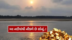 સોનાના કણ વહાવી લાવે છે આ નદી