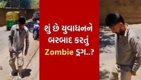 દેશના અલગ અલગ ખૂણે જોવા મળ્યા ઝોમ્બી ડ્રગના ચોંકાવનારા દ્રશ્યો