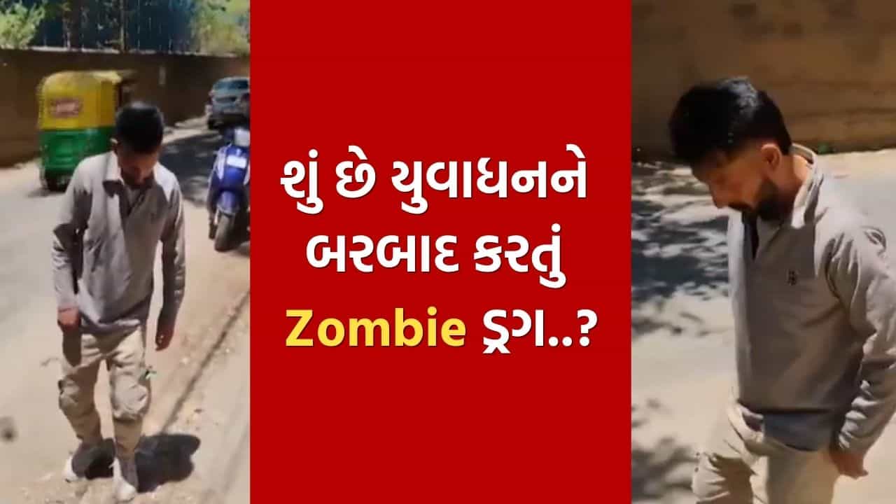 ભારતમાં ઝોમ્બી ડ્રગનો ભયાવહ કહેર, દેશના અલગ અલગ ખૂણે જોવા મળ્યા ચોંકાવનારા દ્રશ્યો, જુઓ Video