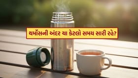 થર્મોસમાં રાખેલી ચા કેટલા સમય સુધી સારી રહે ?