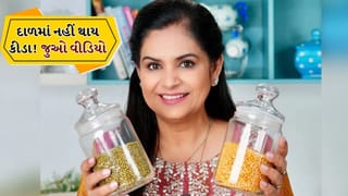 Tips And Tricks: દાળમાં નહીં લાગે ધનેરા અને ફુગ, માસ્ટર શેફ પંકજ ભદોરિયાએ બતાવી સરળ ટ્રિક્સ, જુઓ Video