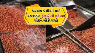 આ Video જોશો તો ટોમેટો કેચઅપ ખાતા બંધ થઈ જશો,  ફેક્ટરીમાં આ રીતે ગંધાય રહ્યા છે ટમેટા, જુઓ Video