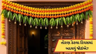 મુખ્ય દરવાજા પર લટકાવેલું તોરણ કેટલા દિવસમાં બદલવું જોઈએ? આટલું જાણી લેજો નહીં તો લાગશે વાસ્તુ દોષ