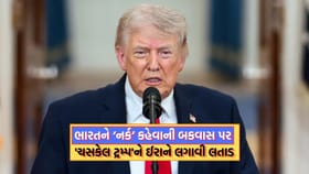 ભારતને નર્ક ગણાવતી ટ્રમ્પની લવારી પર ઈરાની કોન્સ્યુલેટ પણ ભડક્યા-વાંચો