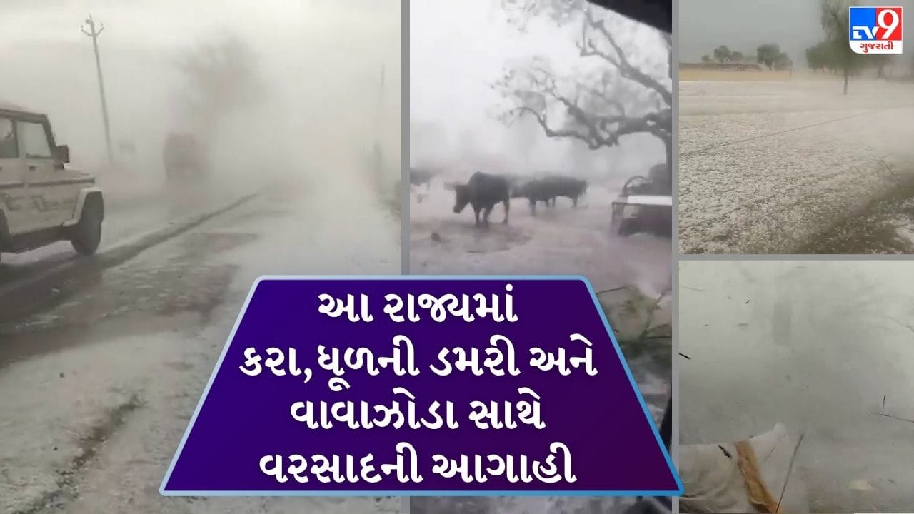 Breaking News : રણમાં બરફનો વરસાદ! જેસલમેર-બિકાનેરમાં પડ્યા કરા, ભર ઉનાળે બરફની ચાદર છવાઈ, જુઓ Video Breaking News : રણમાં બરફનો વરસાદ! જેસલમેર-બિકાનેરમાં પડ્યા કરા, ભર ઉનાળે બરફની ચાદર છવાઈ, જુઓ Video