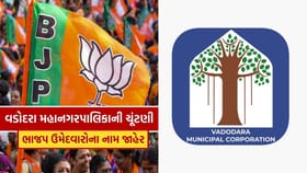 વડોદરા મહાનગરપાલિકા માટે ભાજપે જાહેર કર્યા ઉમેદવાર