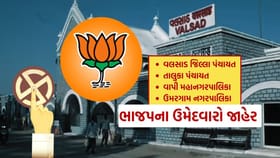 સ્થાનિક સ્વરાજ્યની ચૂંટણી માટે વલસાડમાં ભાજપના ઉમેદવારોનું લિસ્ટ જાહેર