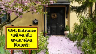 Vastu Tips: મુખ્ય દરવાજા પાસે આ છોડ રાખશો તો વધી શકે છે મુશ્કેલીઓ!