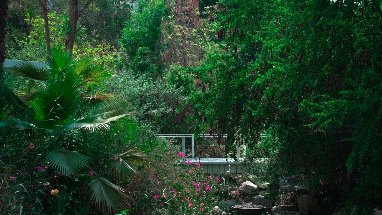 વાસ્તુ નિષ્ણાતો સલાહ આપે છે કે મુખ્ય દરવાજા પાસે હંમેશા લીલાછમ અને તાજા છોડ જ રાખવા જોઈએ. આથી ઘરમાં સકારાત્મકતા, આનંદ અને સમૃદ્ધિ વધે છે. (Image Credit Source: Social Media)